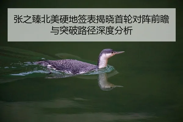 张之臻北美硬地签表揭晓首轮对阵前瞻与突破路径深度分析